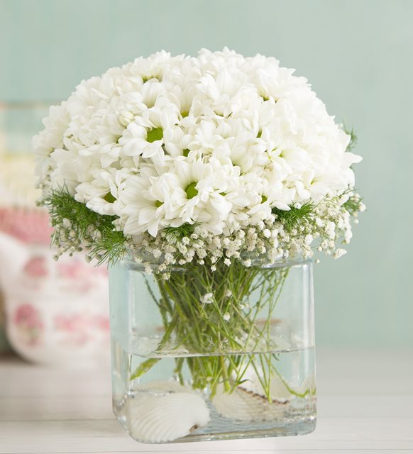 Adıyamanda Çiçek | Orkide Çiçekçilik & Organizasyon