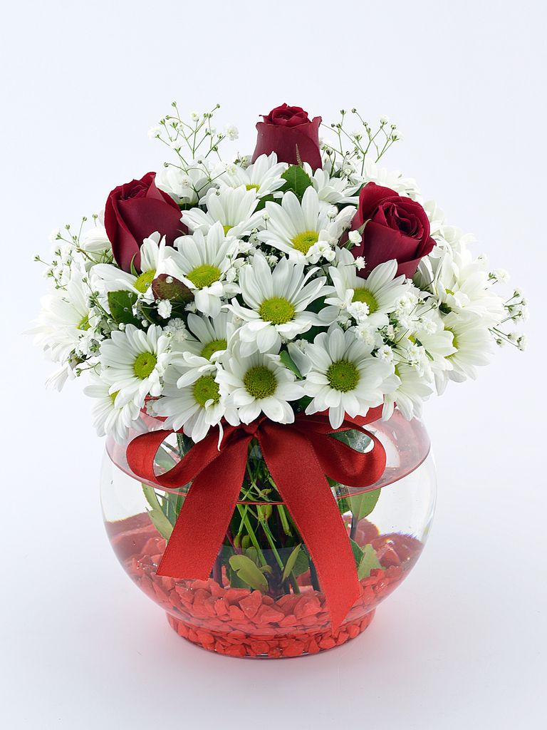 Adıyamanda Çiçek | Orkide Çiçekçilik & Organizasyon