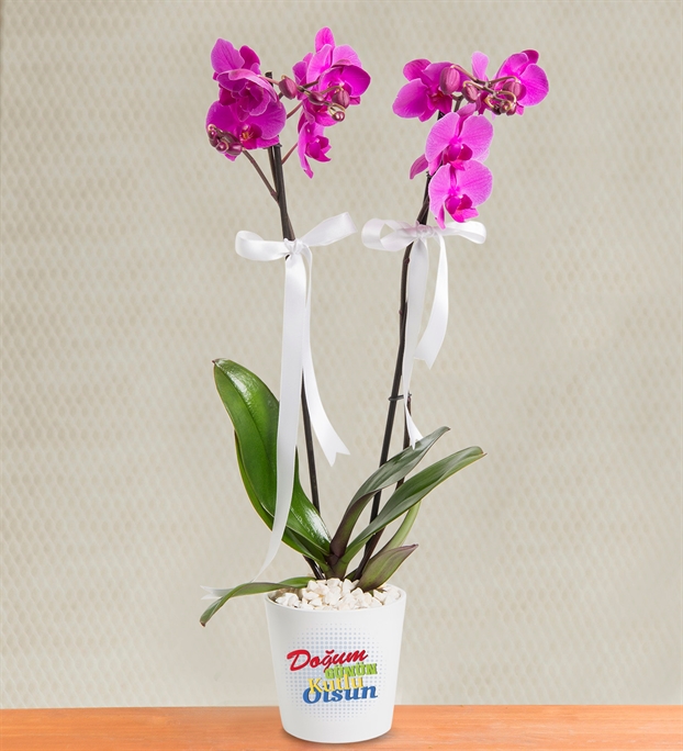 Adıyamanda Çiçek | Orkide Çiçekçilik & Organizasyon