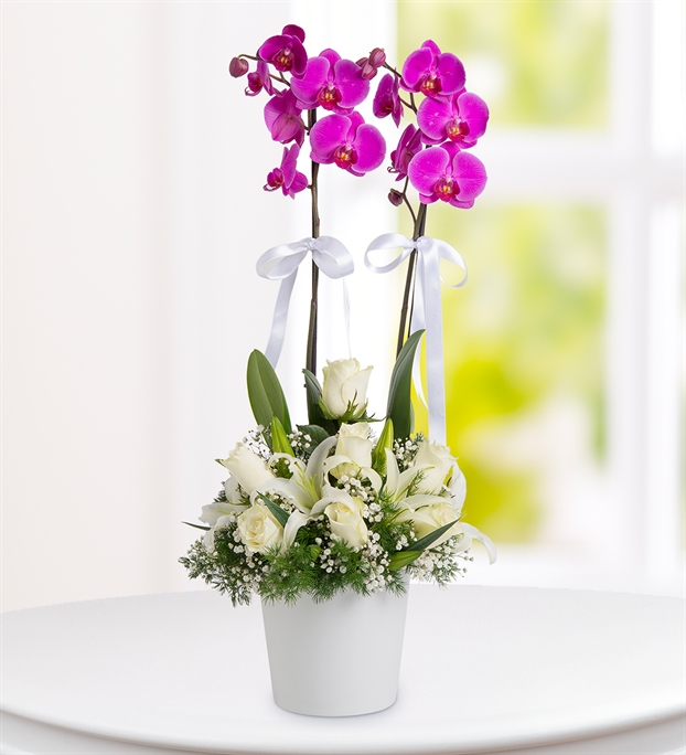 Adıyamanda Çiçek | Orkide Çiçekçilik & Organizasyon