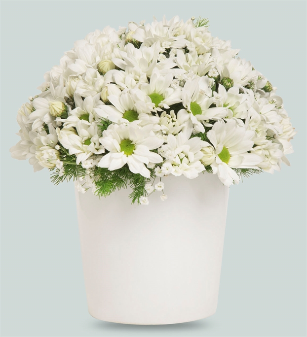 Adıyamanda Çiçek | Orkide Çiçekçilik & Organizasyon