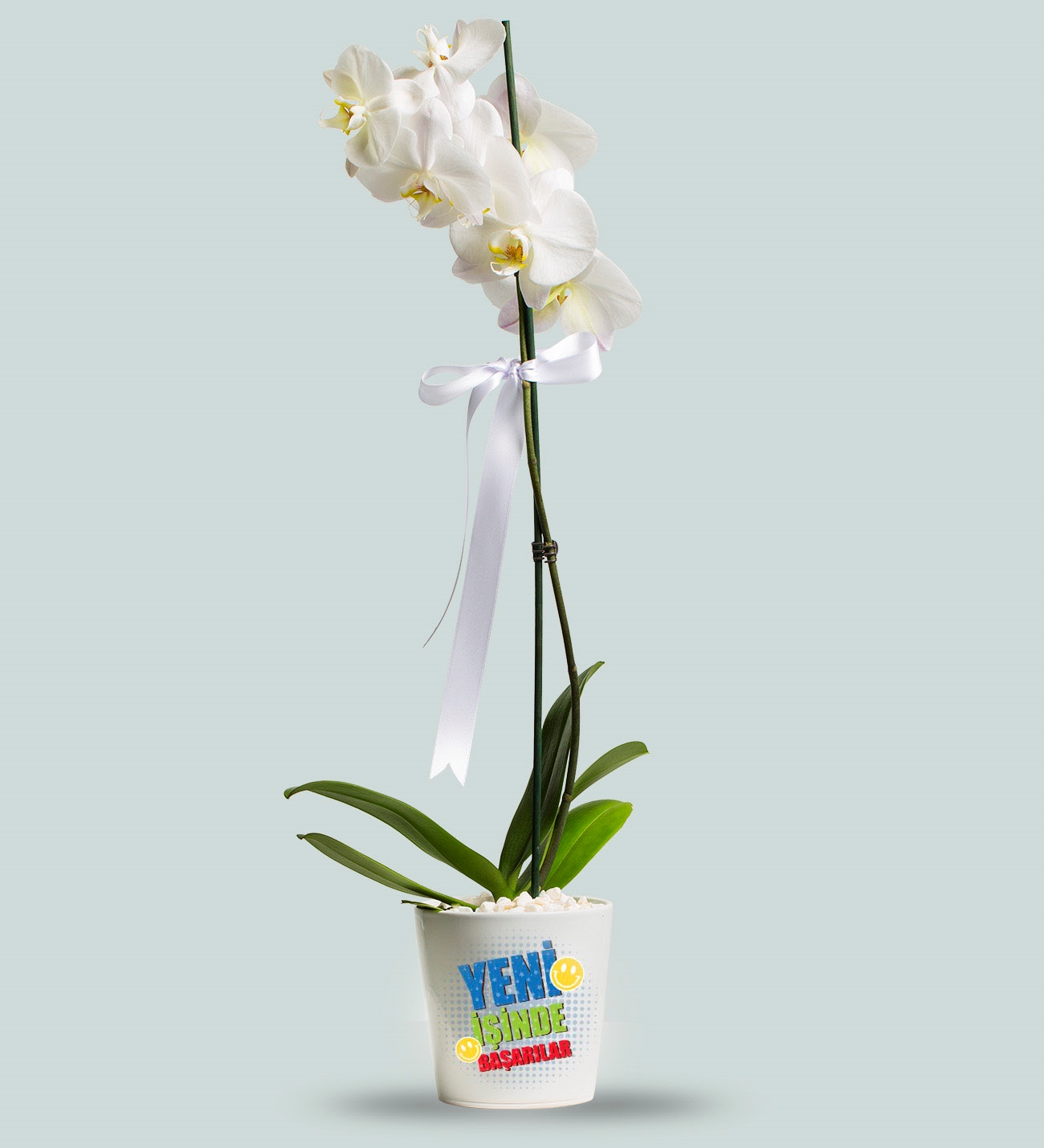 Adıyamanda Çiçek | Orkide Çiçekçilik & Organizasyon