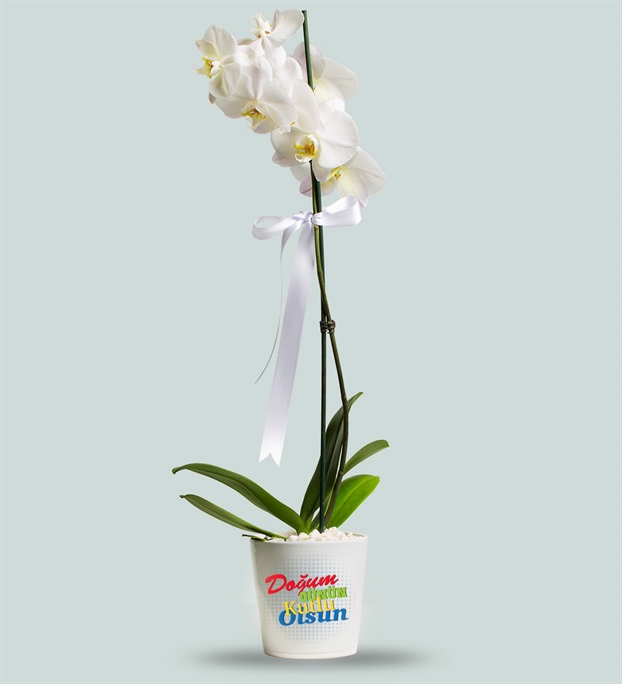 Adıyamanda Çiçek | Orkide Çiçekçilik & Organizasyon